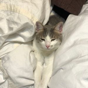 Meet your Posher, Angela